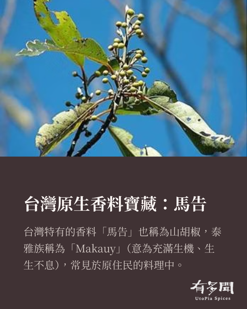 馬告粉 Makauy Powder - 益昌實業 / 益良食品